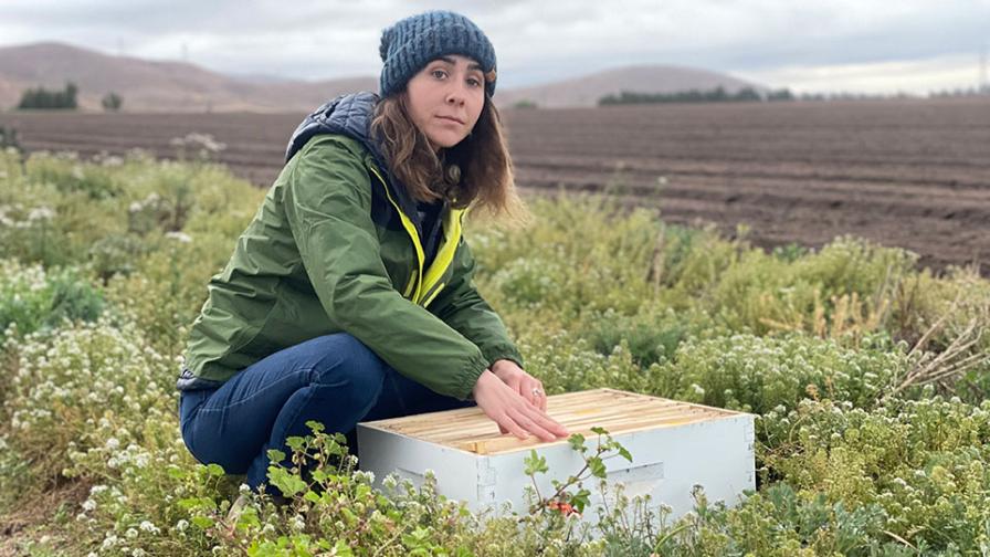 Katie Chiapuzio in field at Braga Fresh Farms