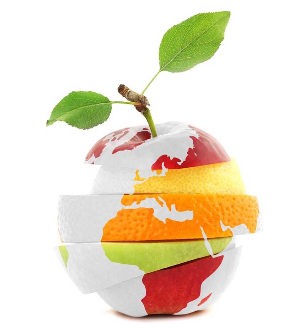 A globe in the shape of an apple made of slices of different fruits like orange, lemon and apple.