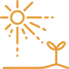 Icon of sunshine and plant growing