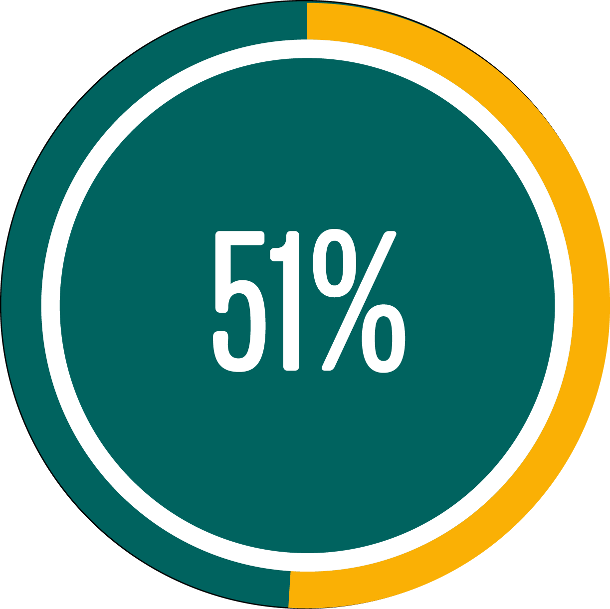 Circle graph showing 51 percent full